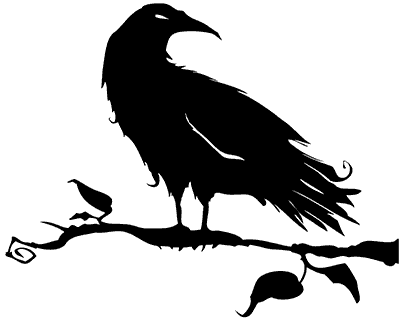 Image: black crow